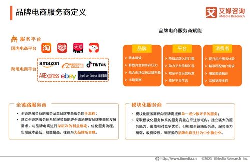 2023年中國品牌電商服務商行業(yè)研究報告——社會經濟咨詢服務解析