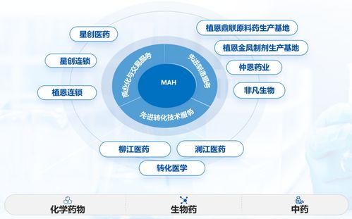 植恩生物 藥品全生命周期管理與遠程健康服務的融合創(chuàng)新——聚焦南京MAH與DDS戰(zhàn)略